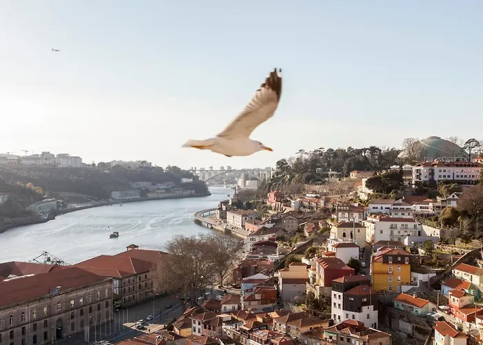 Citybreak-Apartments Douro View